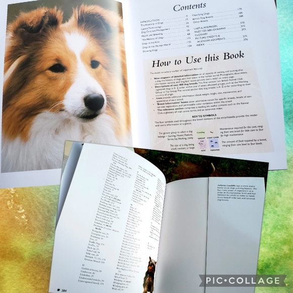 The Complete Encyclopedia of Dog Breeds - Picture 5 of 10